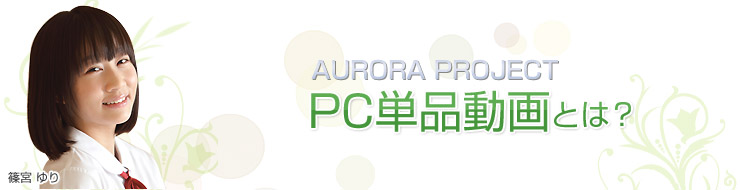 PC単品動画とは？ オーロラプロジェクト